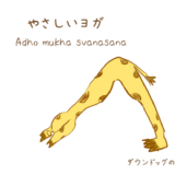 ダウンドッグをやさしいヨガで解説したブログ