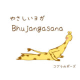 やさしいヨガのコブラのポーズ